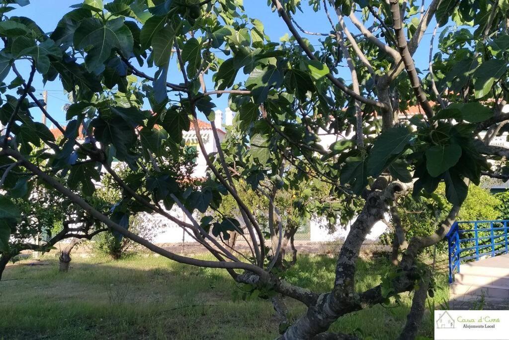 Casa D'Avo Leilighet Altura Eksteriør bilde